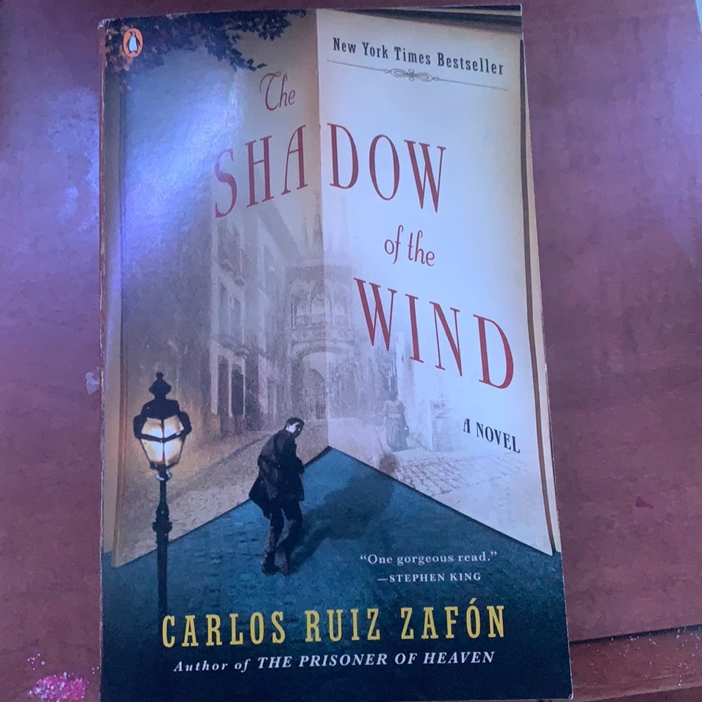 Shadow of the wind book